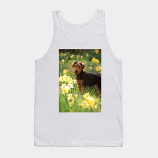 Welsh Terrier puppy amongst daffodils Tank Top